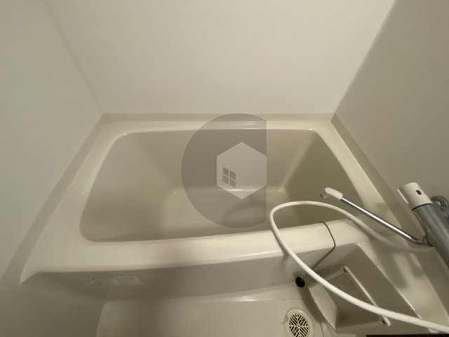 ルミエール・フジの浴室