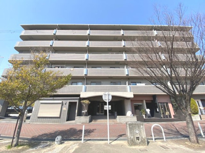 【その他】 | ヴィオラ千里