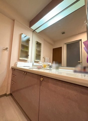 ダイアパレス南町田の洗面所|洗面化粧台