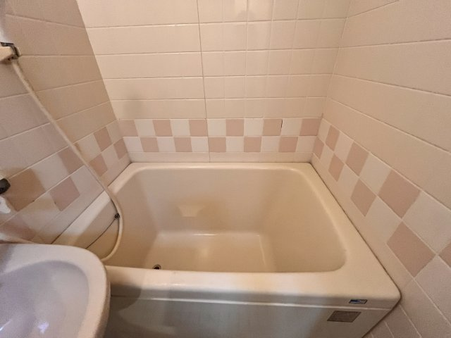 グリーンハウス緑地の浴室