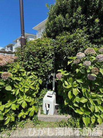 ライオンズガーデン茅ヶ崎一番館の庭|敷地内に外用水栓あり！掃除や洗車に便利