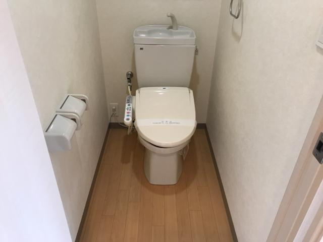 グランティス大晴　Ⅱのトイレ|シャワー付トイレ