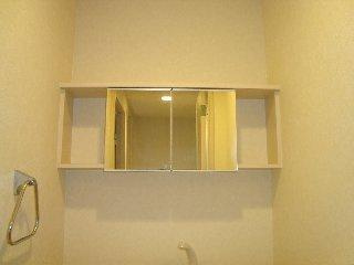 グランティス大晴　Ⅱの収納|トイレ鏡付小棚