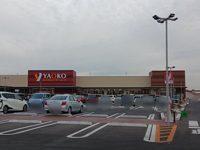 ヒカルサ久喜東の周辺|ヤオコー久喜吉羽店まで1300m