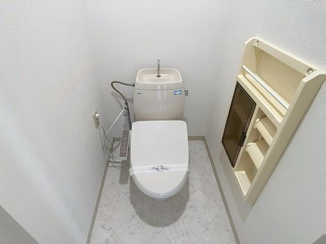 ディアスドリームB棟のトイレ