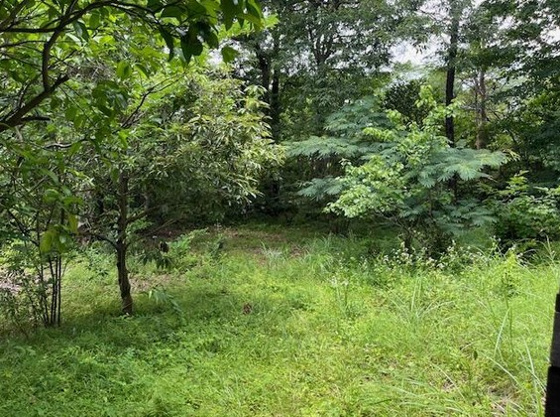 【庭】 | 伊豆高原別荘地南大室台　戸建