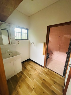馬場一戸建の洗面所