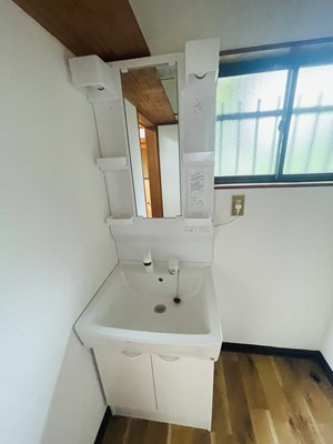馬場一戸建の独立洗面台