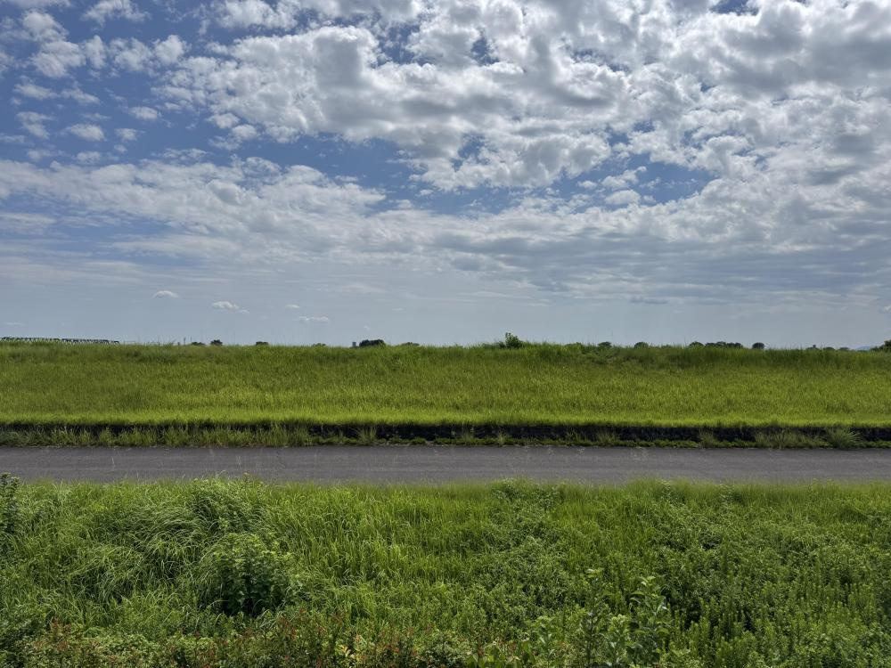 プレジオの展望