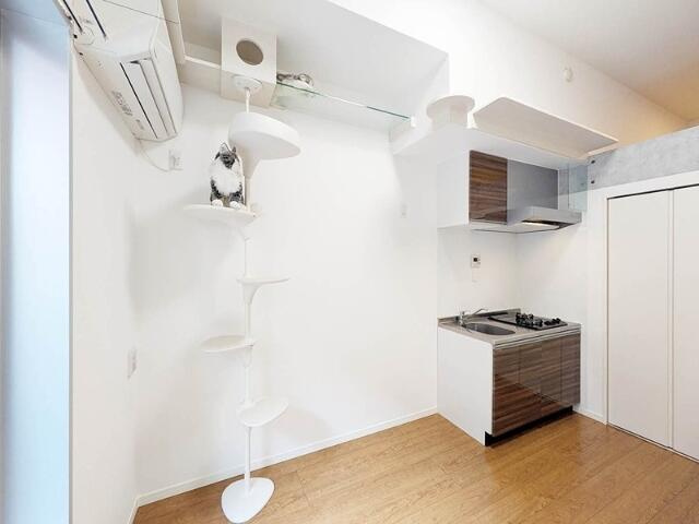 RS参番館の内装|☆キャットタワー 