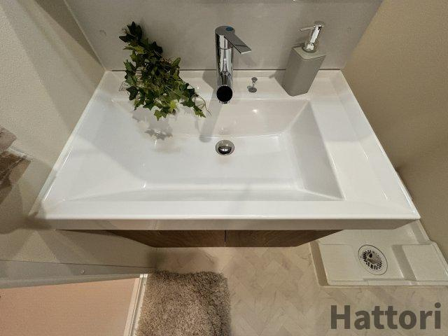 エメルミナ豊中岡町の洗面所