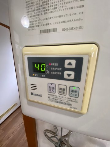 マイルストーンのその他