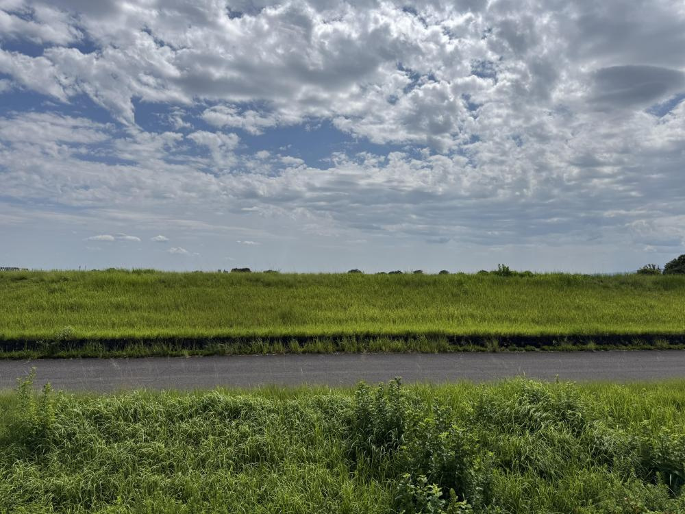 プレジオの展望