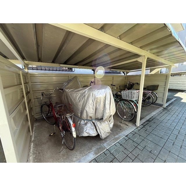 ジュネシオン・サカエのその他