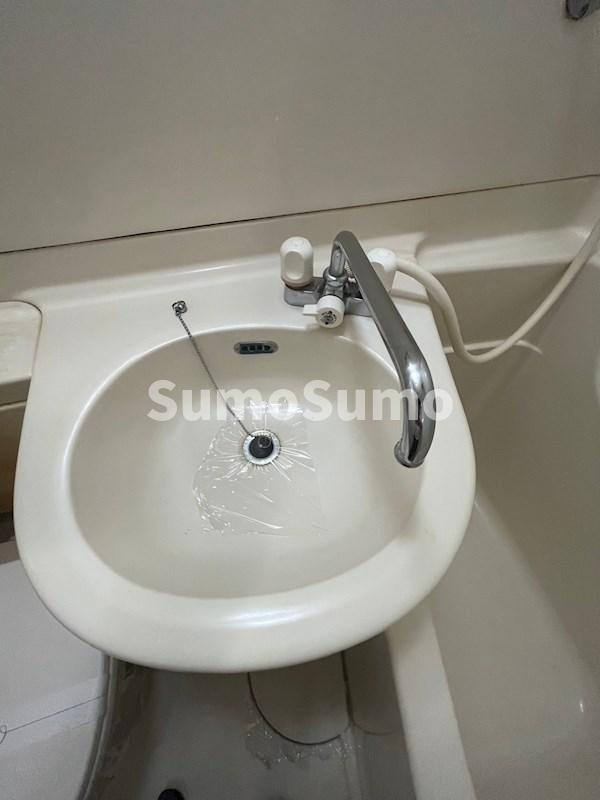 ルーミハイツの洗面所