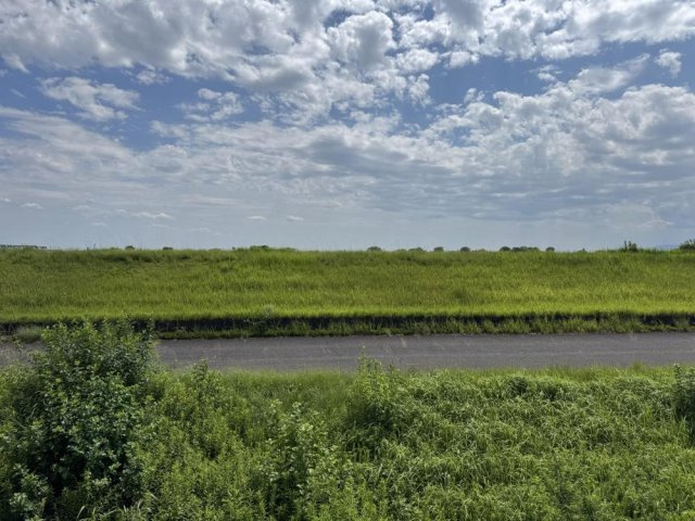 プレジオの展望