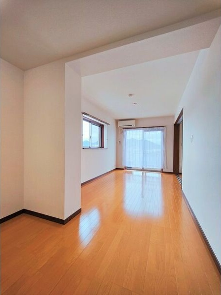 ヴィガラスMのその他