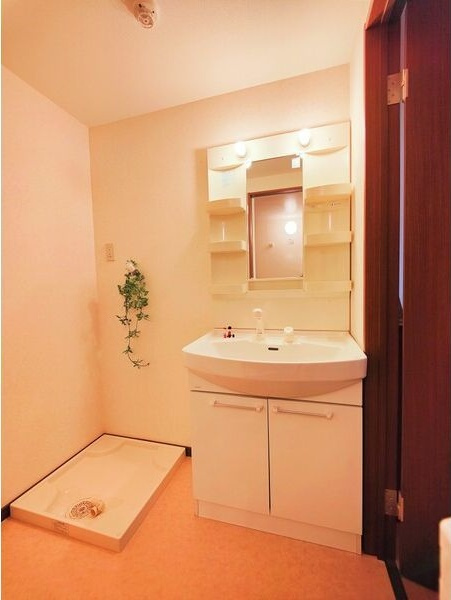 ヴィガラスMの洗面所