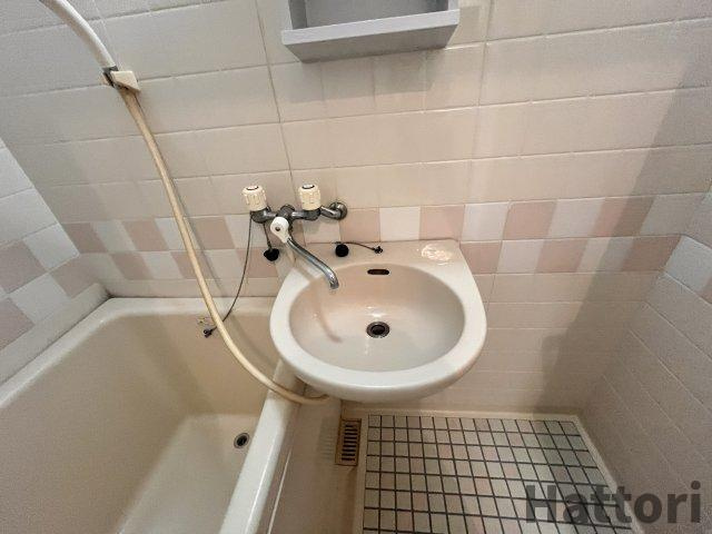 グリーンハウス緑地の洗面所