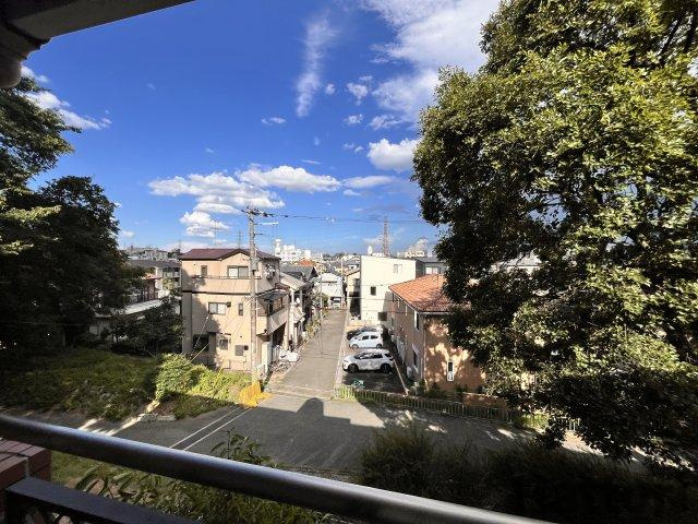 グリーンハウス緑地の展望