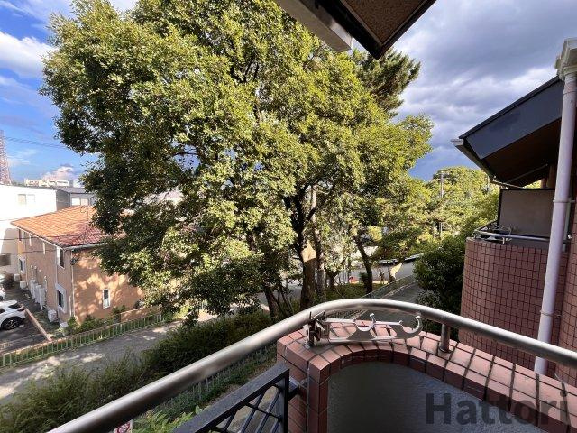 グリーンハウス緑地の展望