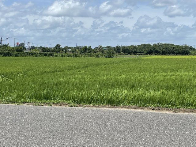 南今泉中古一戸建の周辺