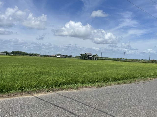 南今泉中古一戸建の展望