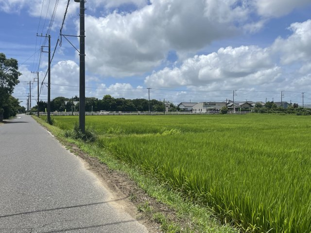 南今泉中古一戸建の周辺