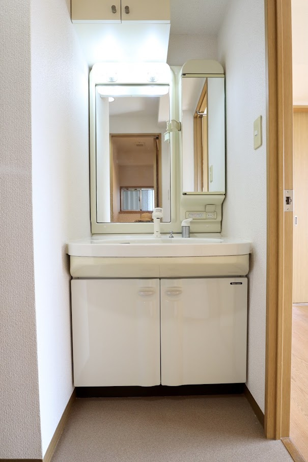 ＤＵＫＥⅡの洗面所