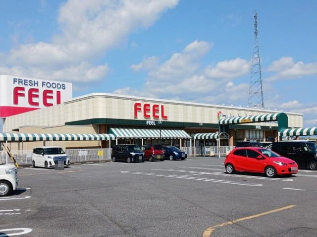 プリンセス・ツリー　Ⅲの周辺|フェルナ 大和店まで1300m