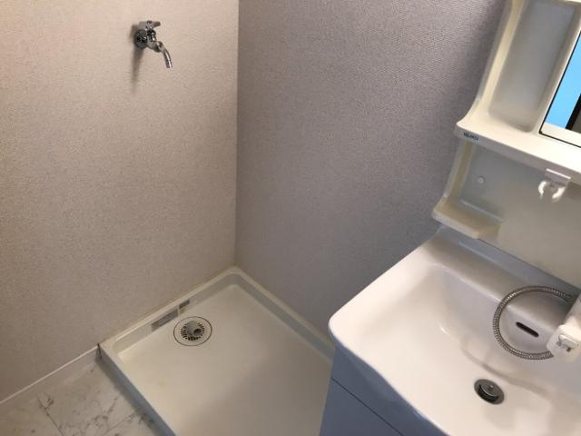 グリーンハイム松橋の洗面所|洗濯機置場