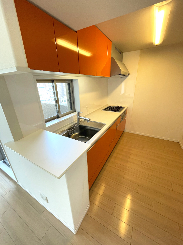 アルファステイツ平和町のキッチン|キッチンにも窓があり、西川緑道公園が一望できます。眺望良好です。