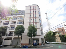 フェアリーコートの画像