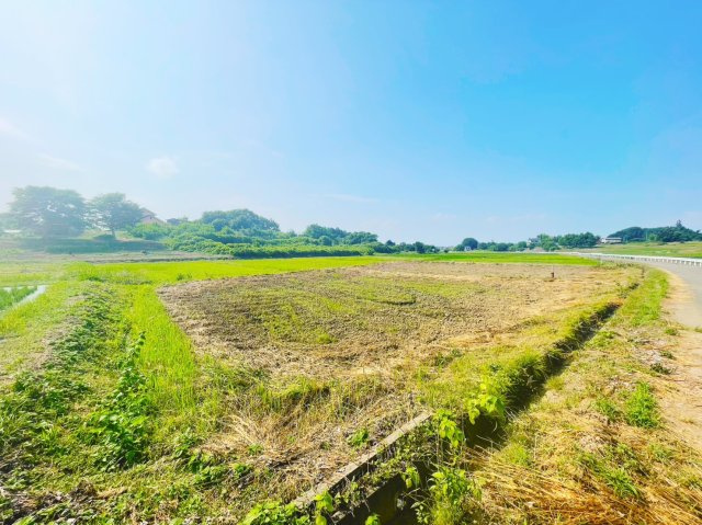 本庄市児玉町　売農地の外観