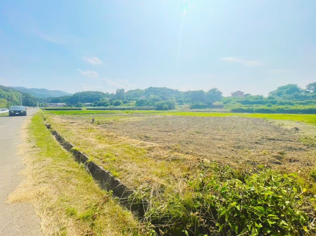 本庄市児玉町　売農地の外観