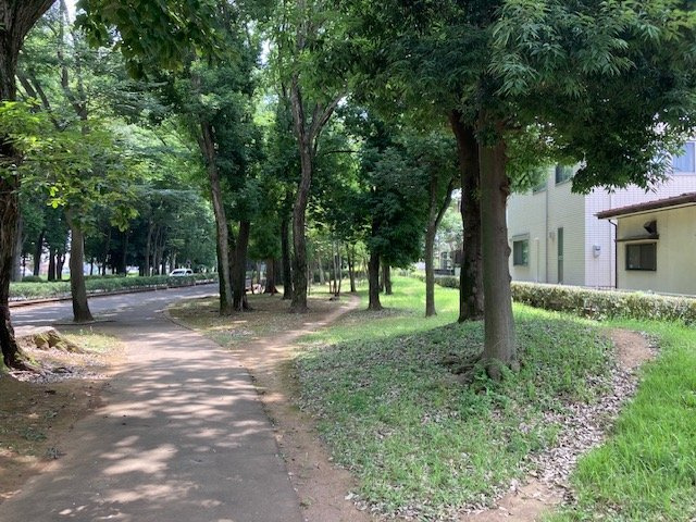 【土地】鶴ヶ島市富士見建築条件無し売地の外観