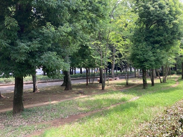 【土地】鶴ヶ島市富士見建築条件無し売地の外観