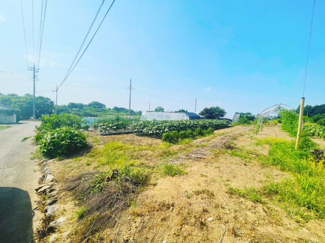 本庄市児玉町　売農地
