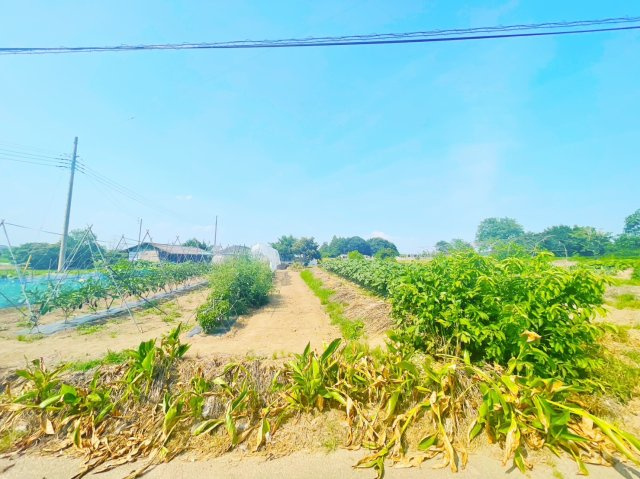 本庄市児玉町　売農地の周辺