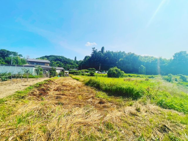本庄市児玉町　売農地