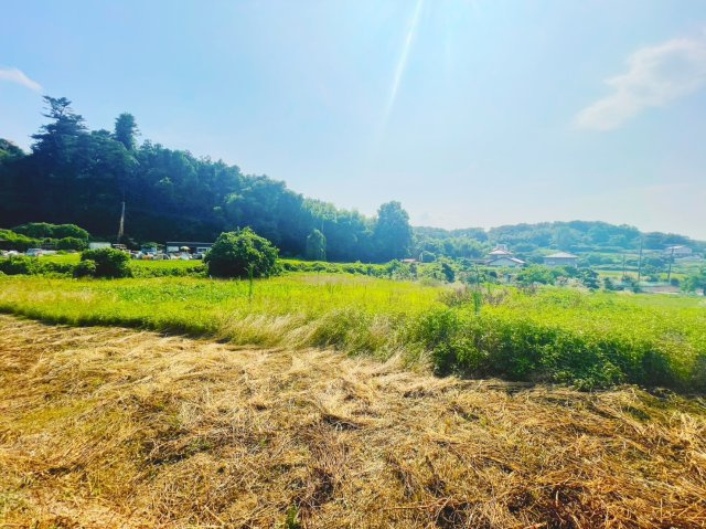 本庄市児玉町　売農地の外観