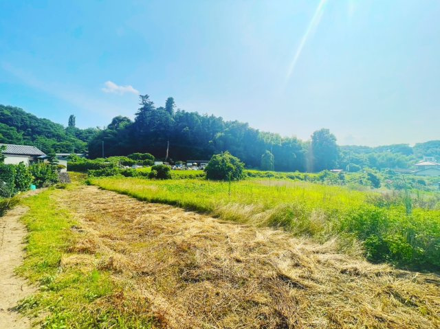 本庄市児玉町　売農地の周辺