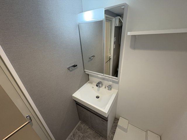 S-RESIDENCE原木中山azureの独立洗面台