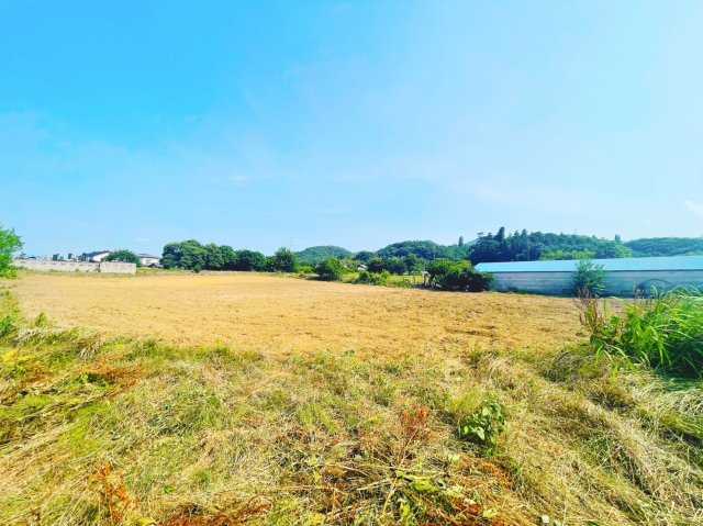 本庄市児玉町　売農地
