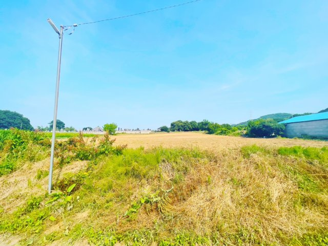 本庄市児玉町　売農地の外観