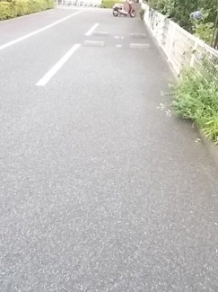 【駐車場】 | ジョリー柏