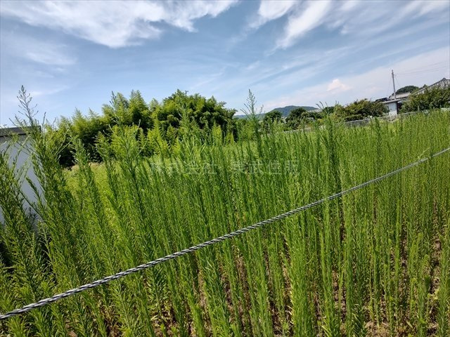 【外観】の画像