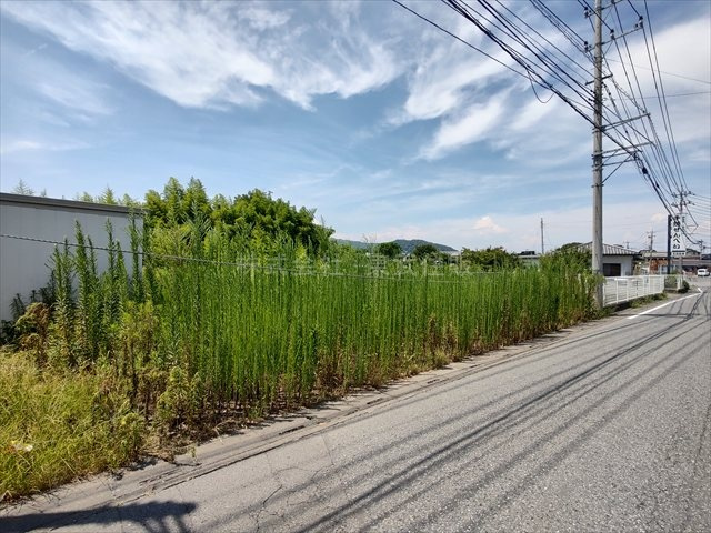 【前面道路含む現地写真】の画像