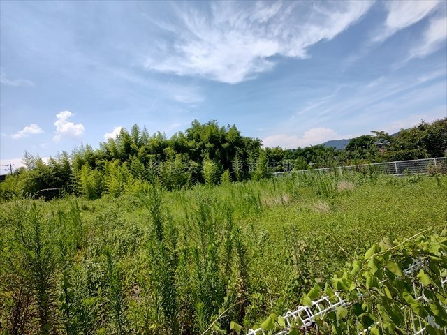 【外観】の画像