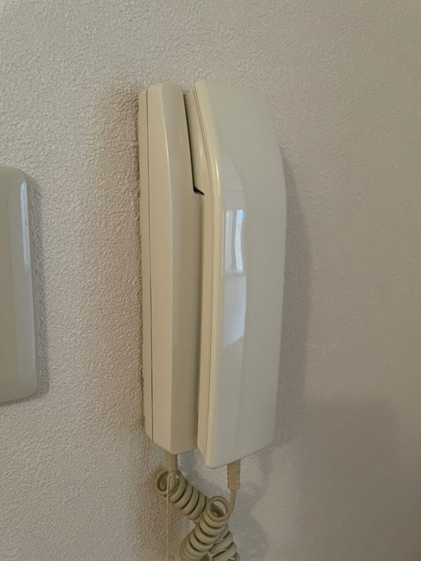 ドミール王子のセキュリティ